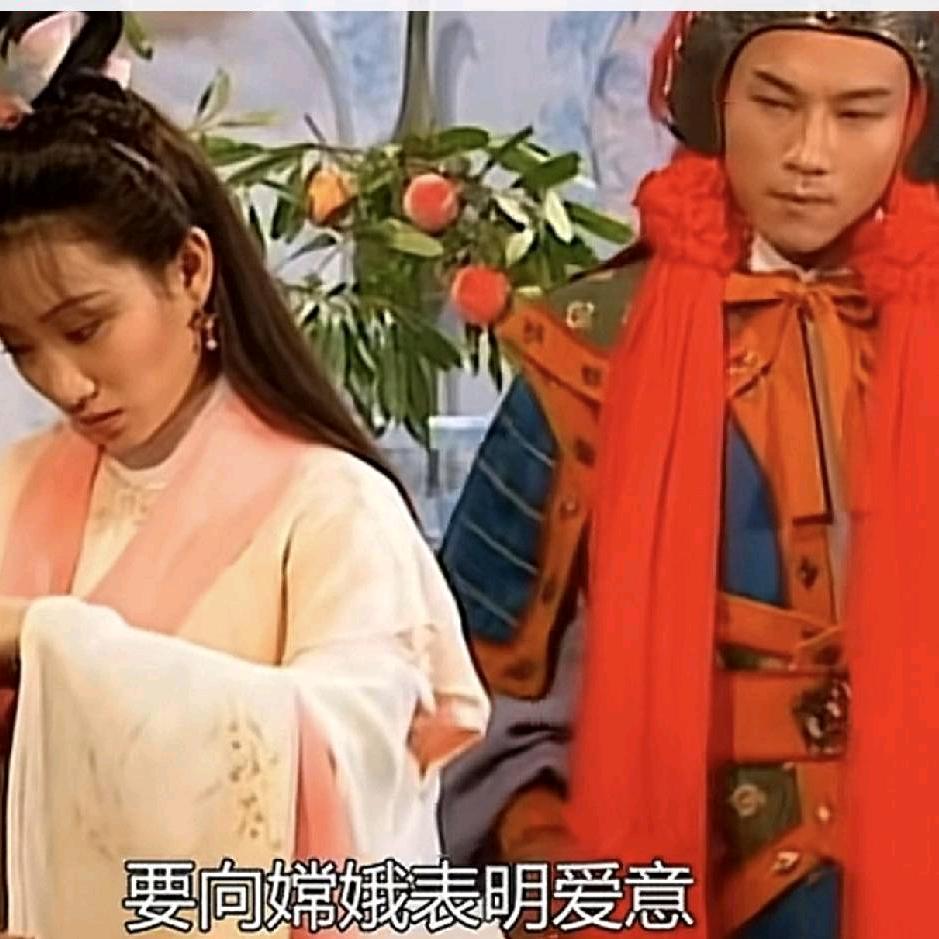 天缝元帅二少