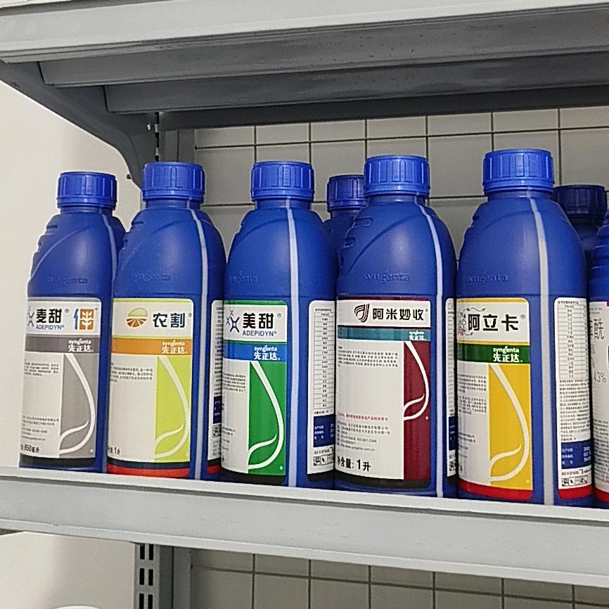 喜洋洋合作社1号