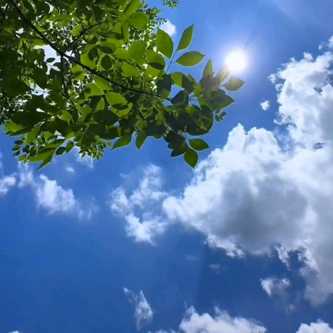 💞᭄᪲ᩚ꯭一ℒᎭℯ⃝陆有你💞