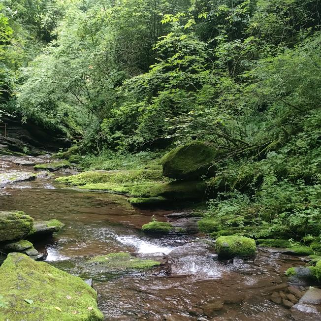 人间💖💖无事人