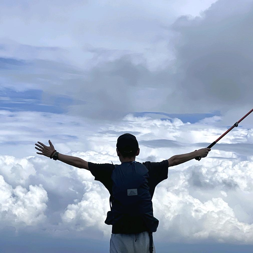 一片光荣的叶子