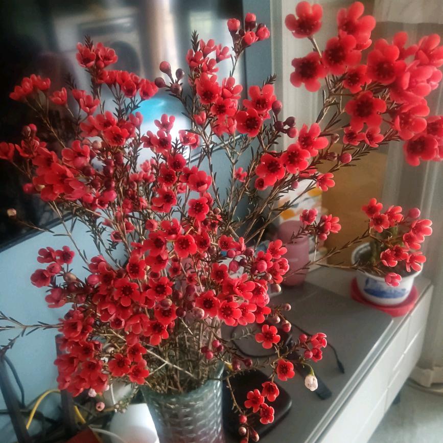 芳