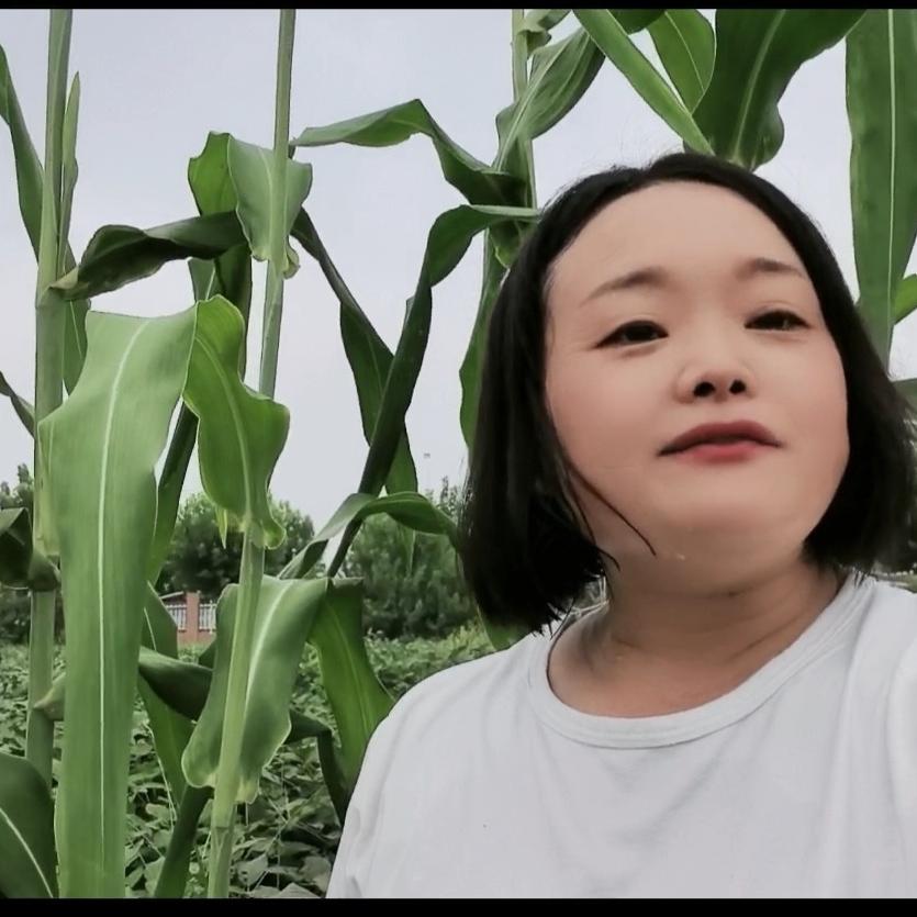稚子伴我种确幸
