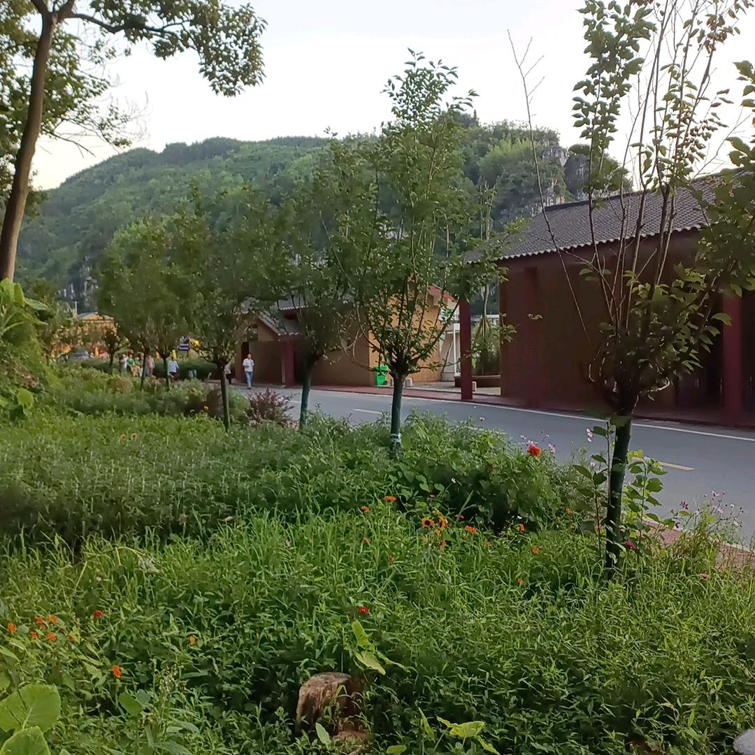 五个孩子母亲雷大姐