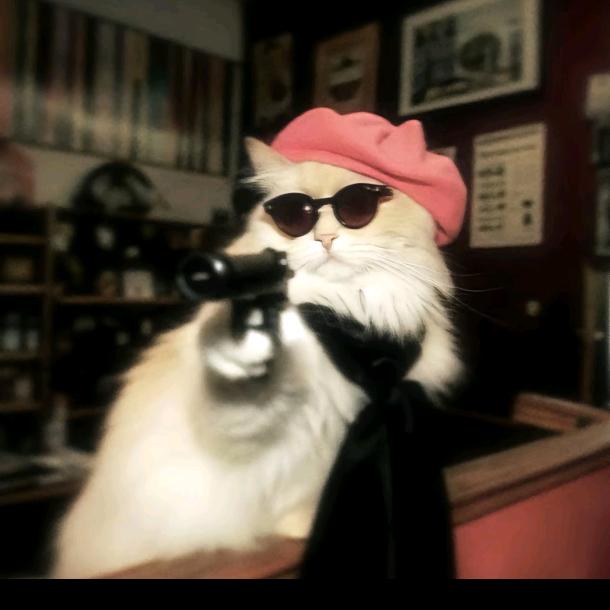 kimi