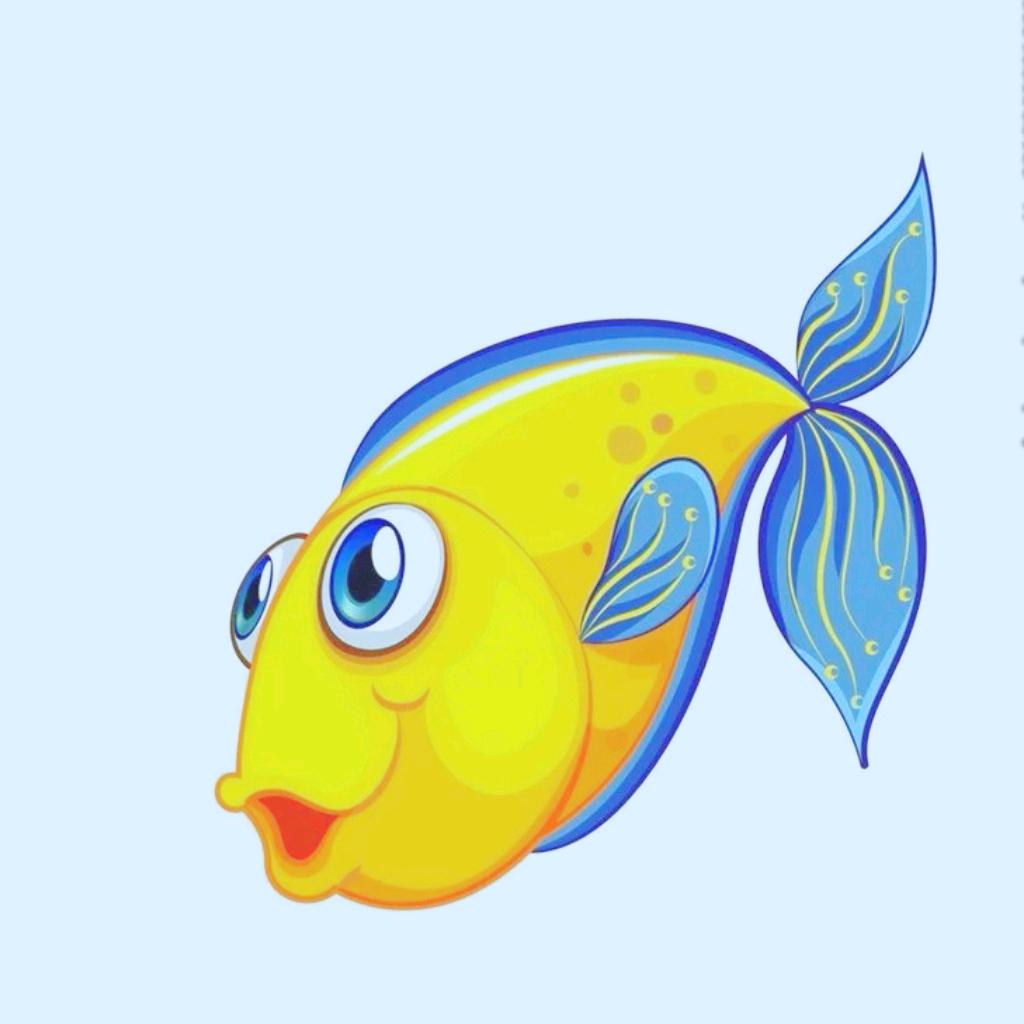 会飞的鱼🐠