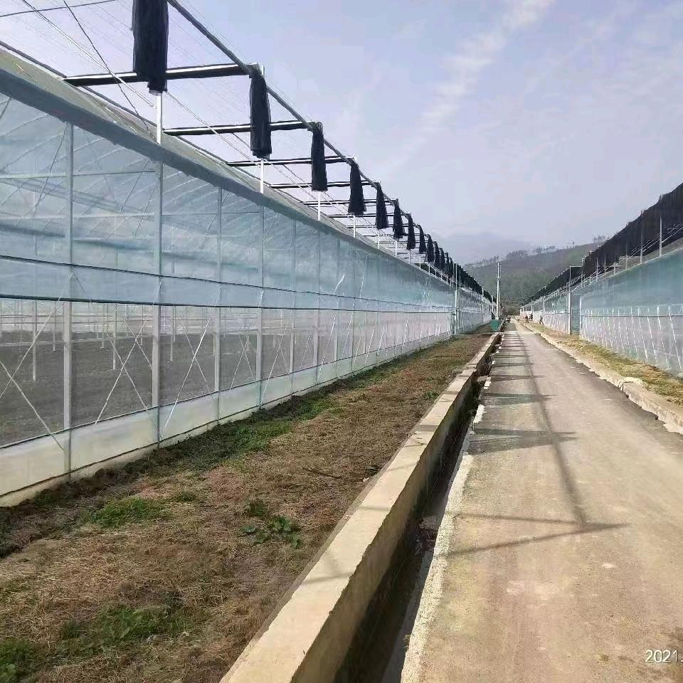 A-温室大棚厂--刘经理