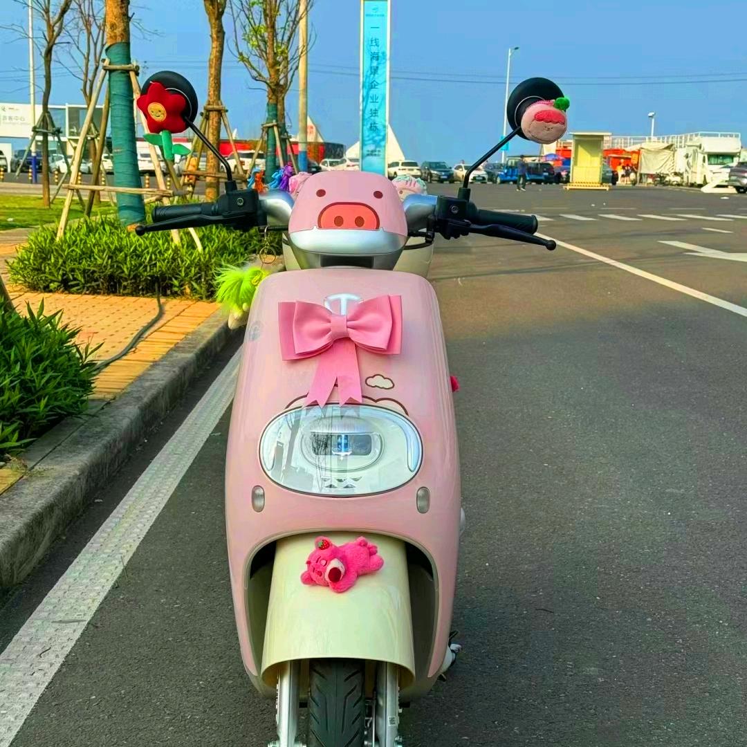 台铃电动车（吉星南路店）