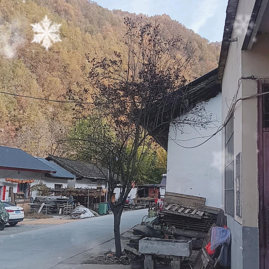 辛福一家