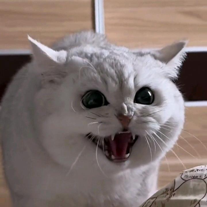 漂客