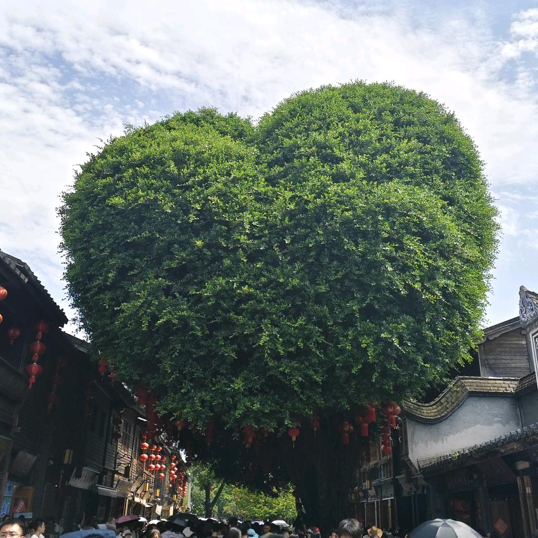 国家特级不保护废物