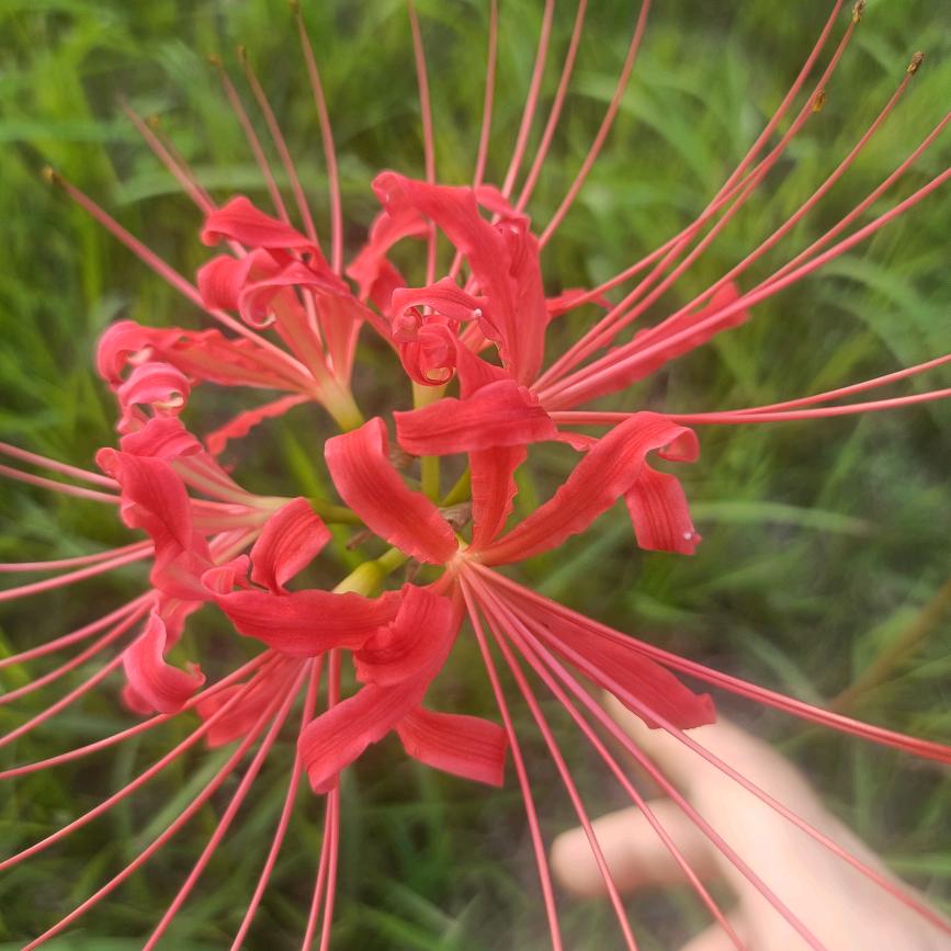 刘在心李❤️❤️❤️