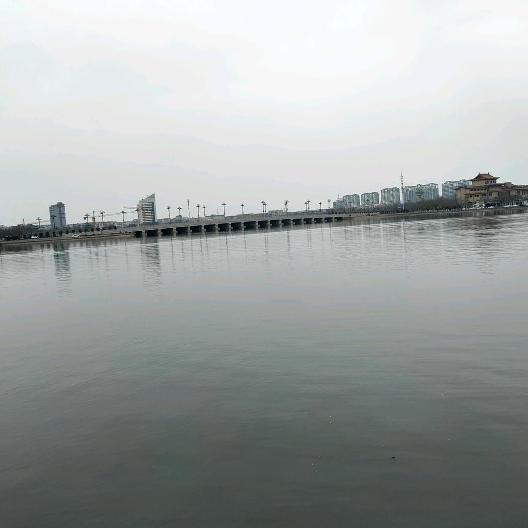 龙龙