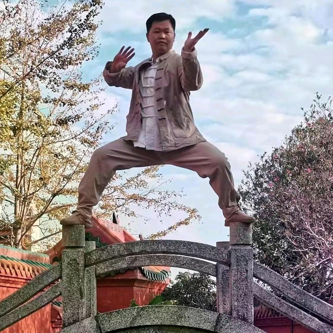 中衡论中医太极一一吕风行