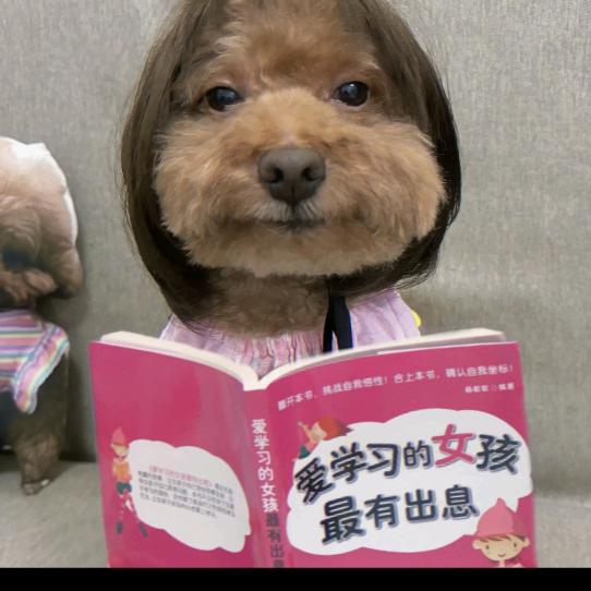 努力打工💰