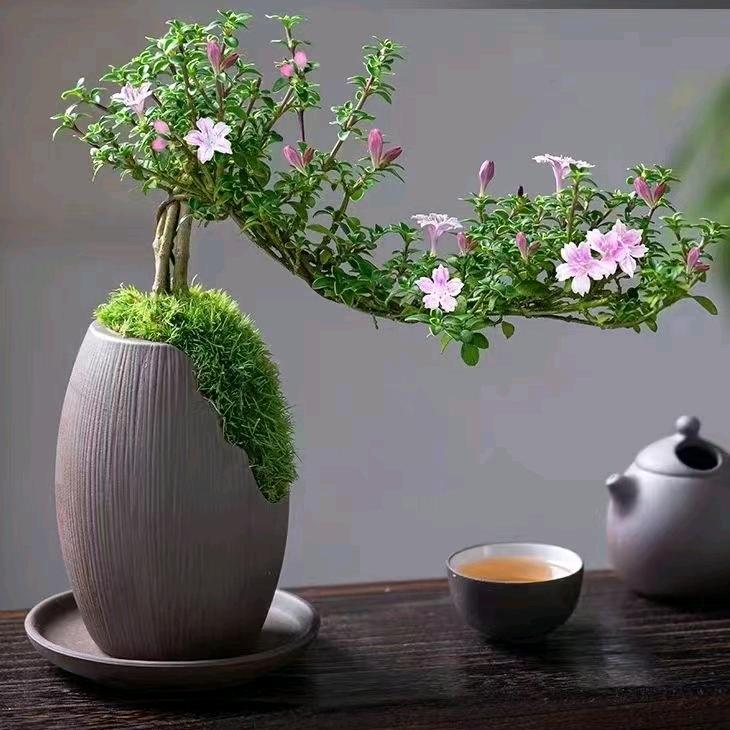 氢氧之源