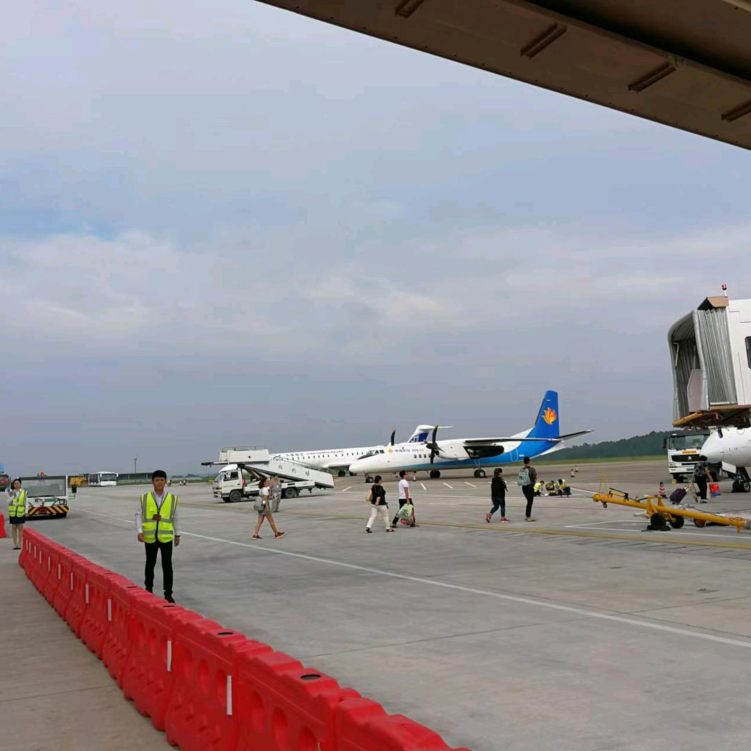杨杨来了