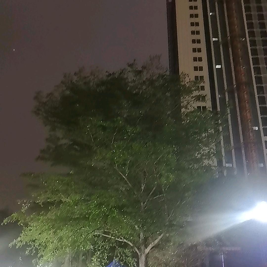 🍀四叶草🍀