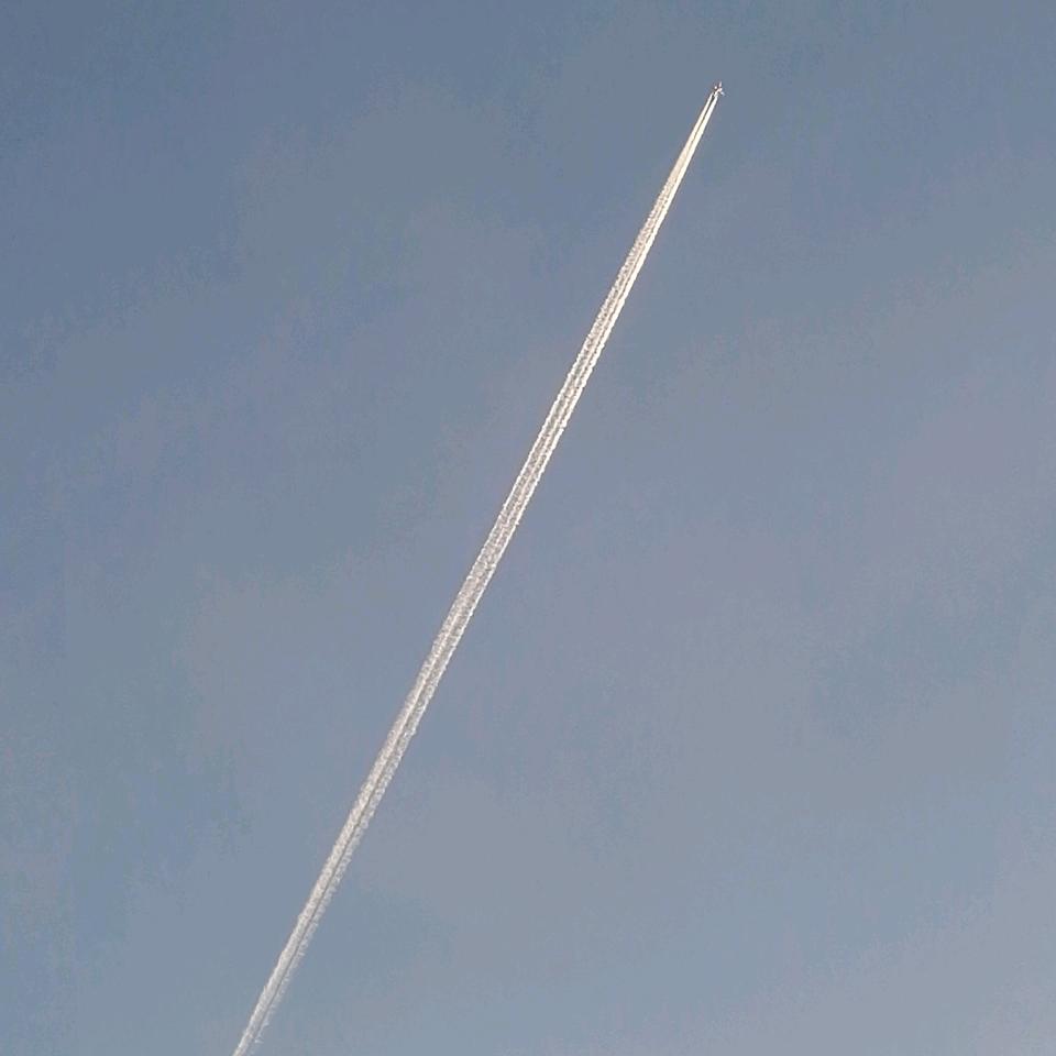 大明子