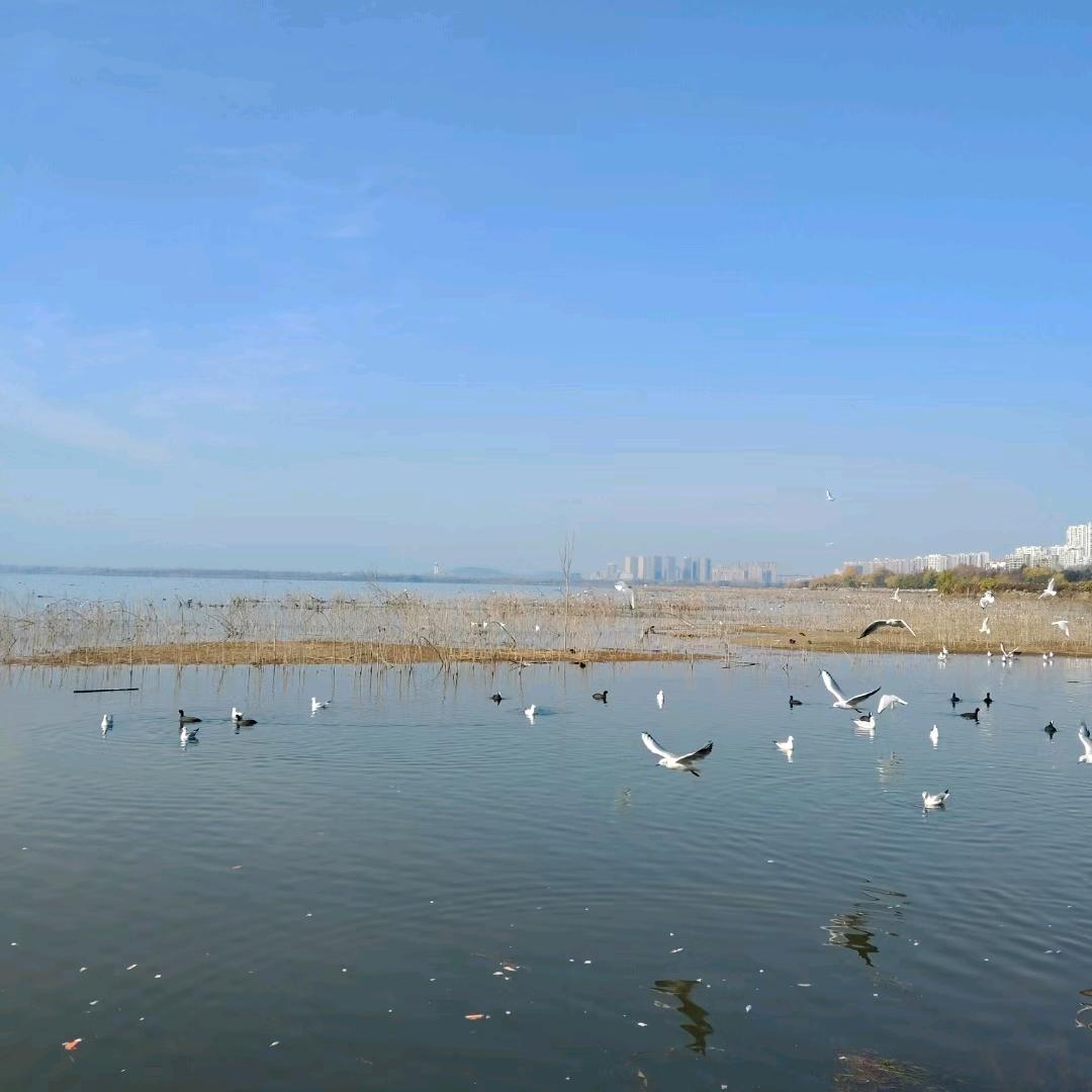 从不羁绊的青春