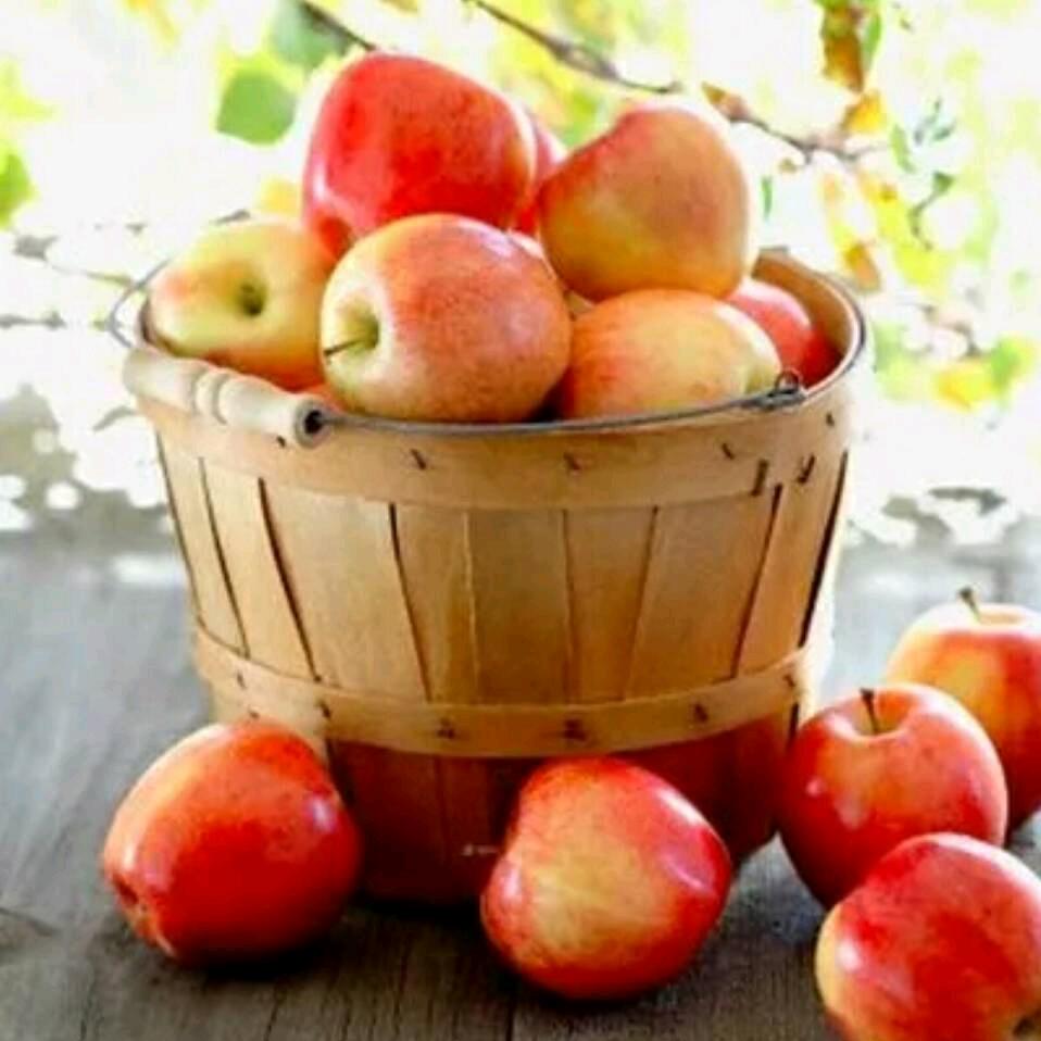 (💋)酸甜苦辣咸(霞💋)