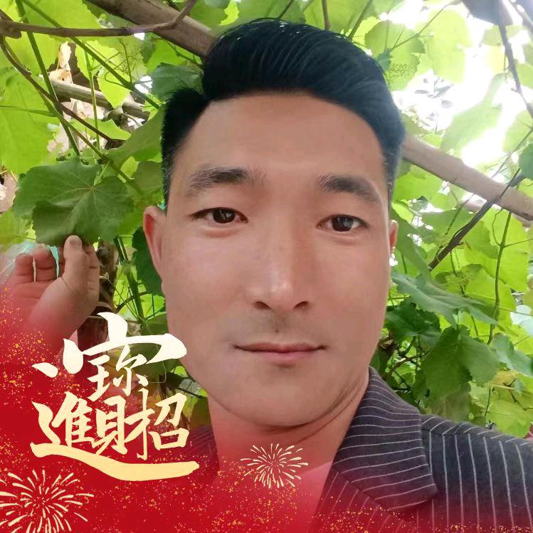 猪司令