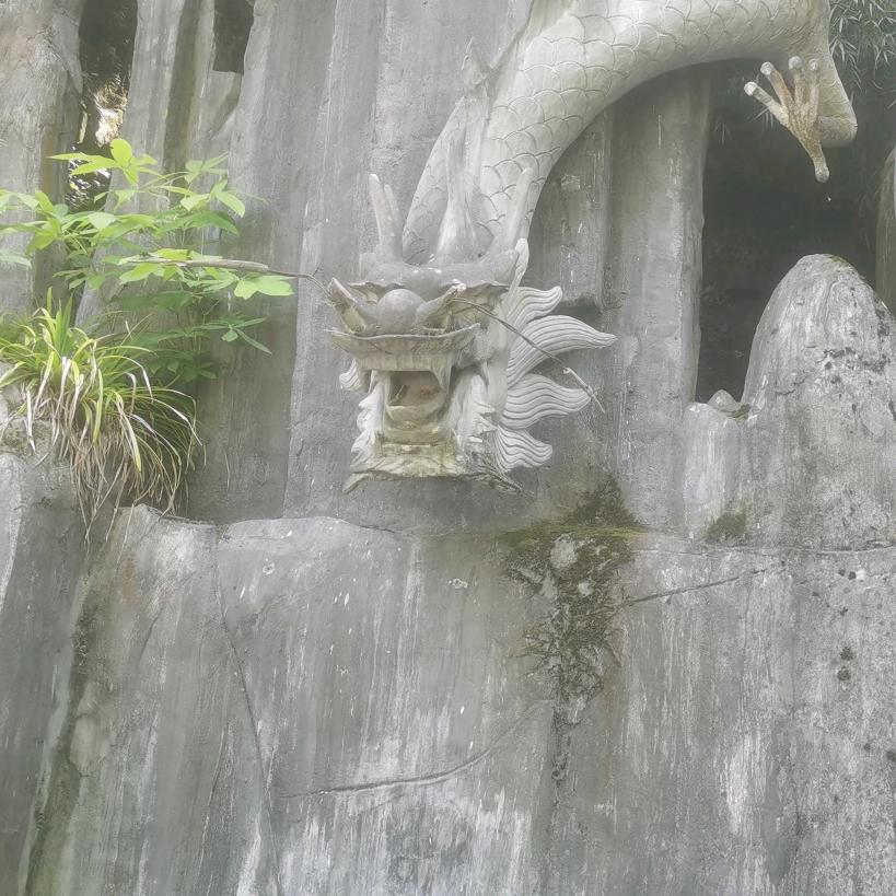龙一
