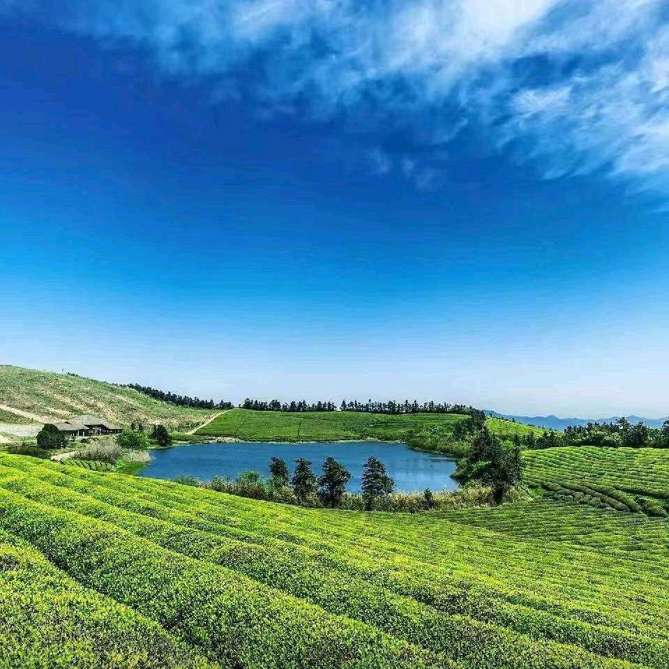 诗景