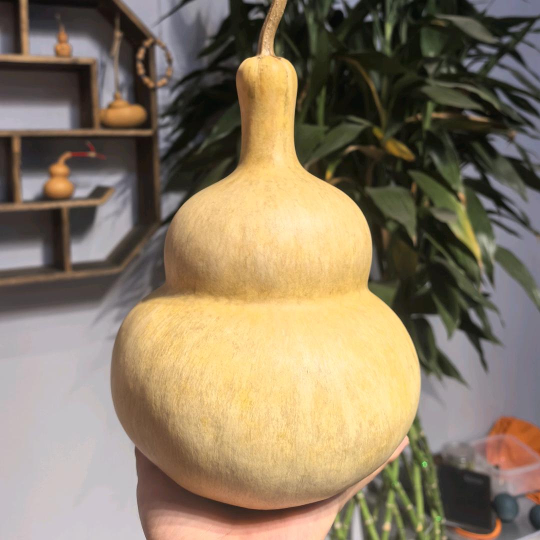 👑江东队长