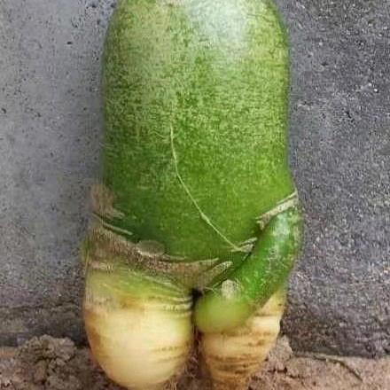 暖心婚语驿站