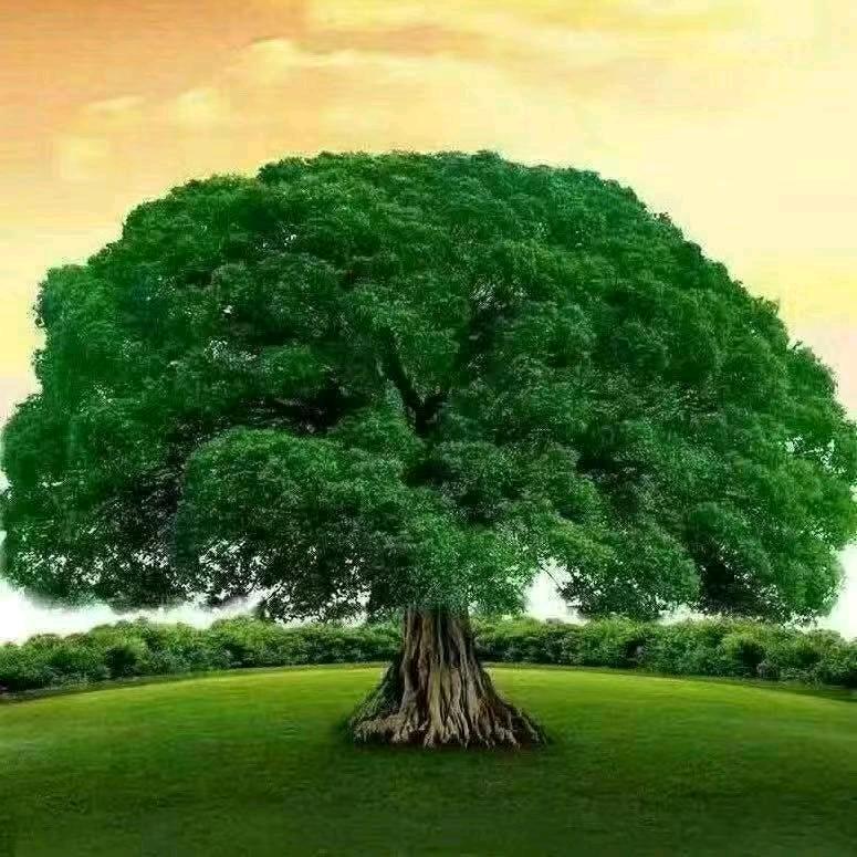 昌乐大阳电动车制造厂