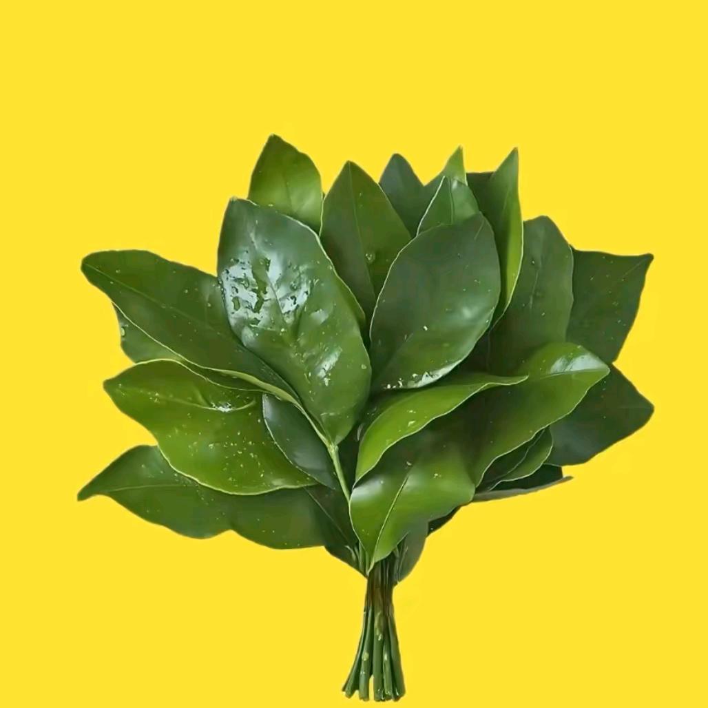 楚辞辞辞辞辞