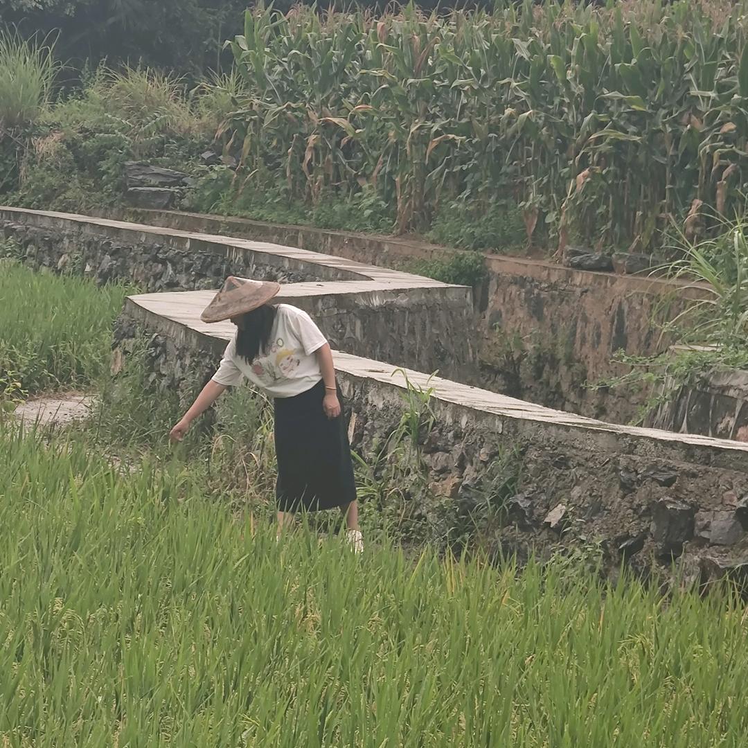 嫂子