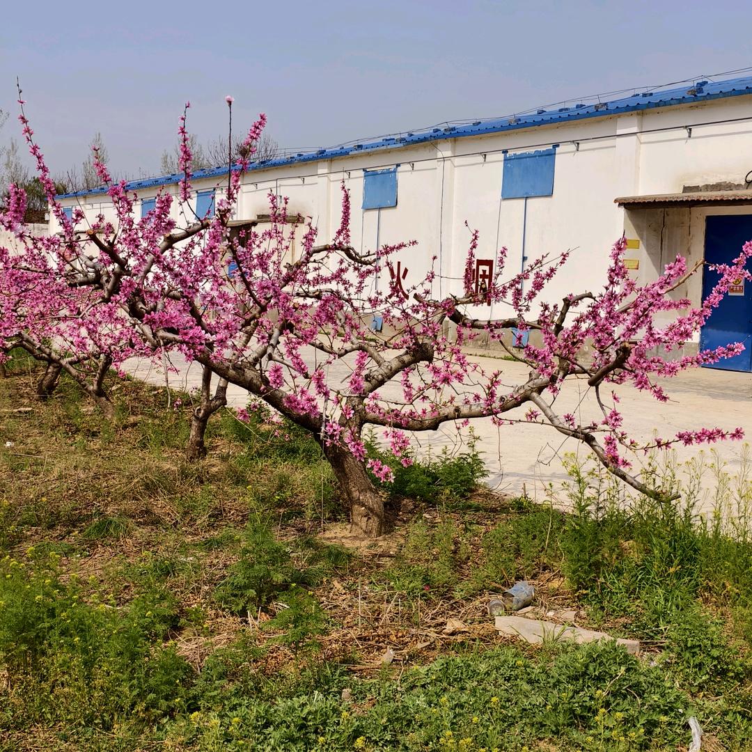 🎆郑州烟花仓库