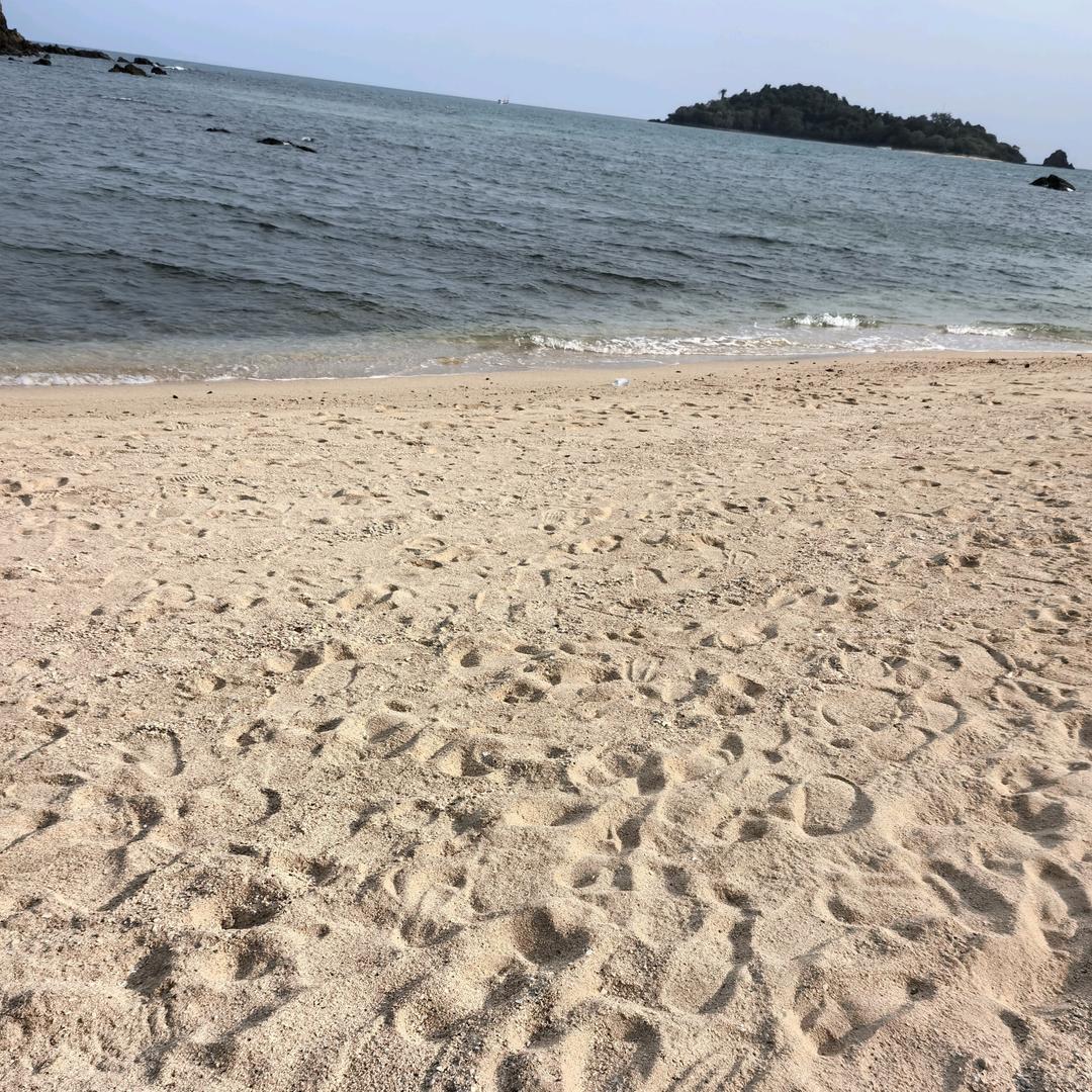 君子思敬