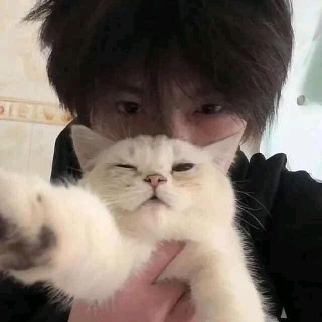 ……