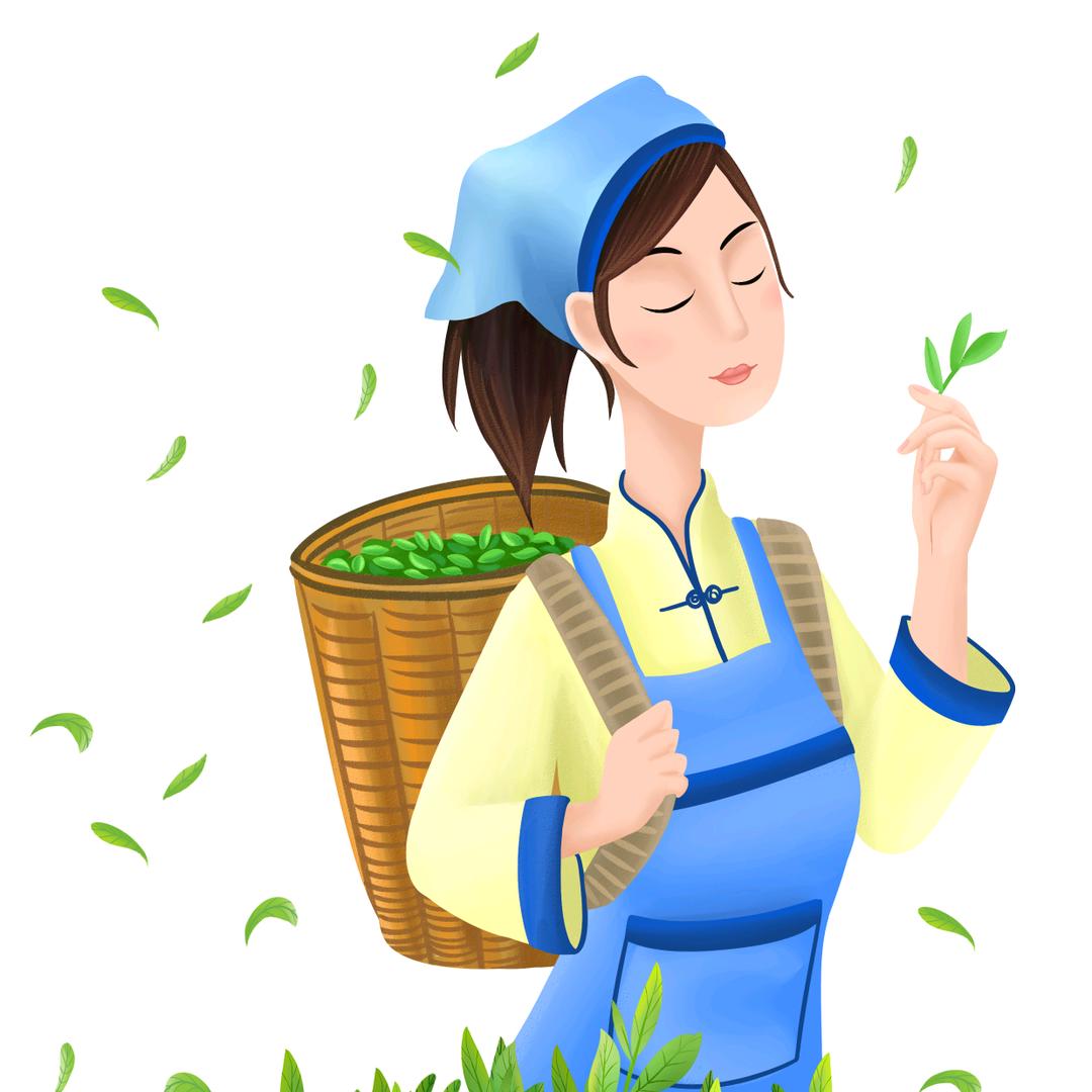 如若不曾遇见