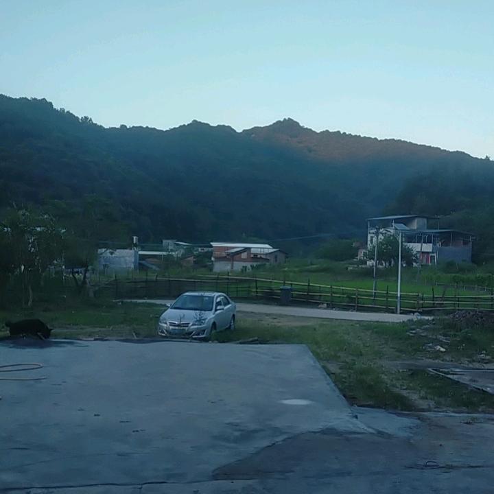从头来过