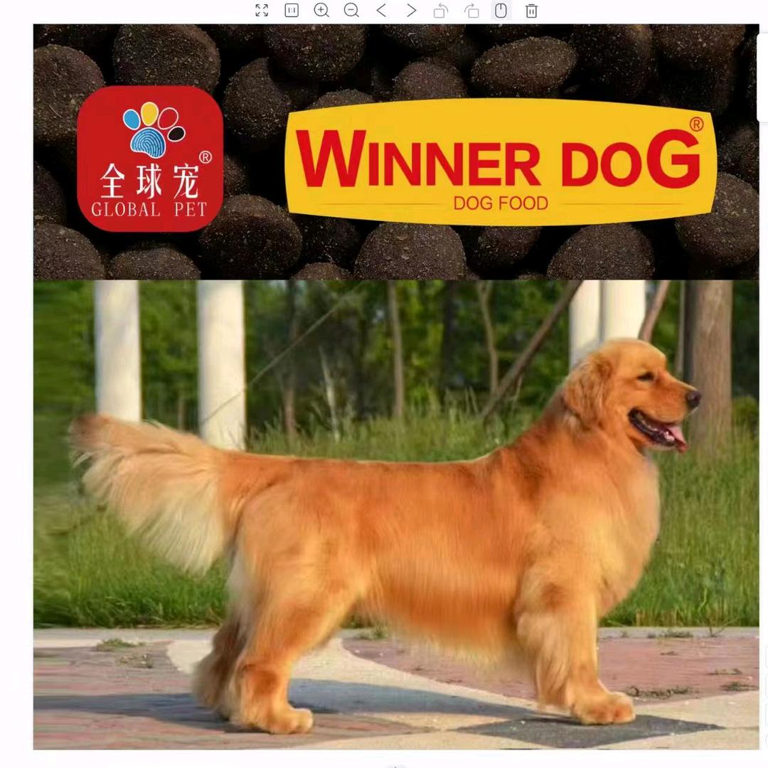 胜力加