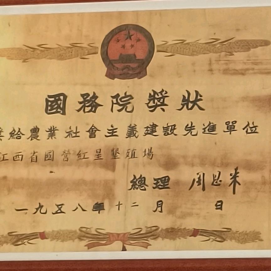 照王爷