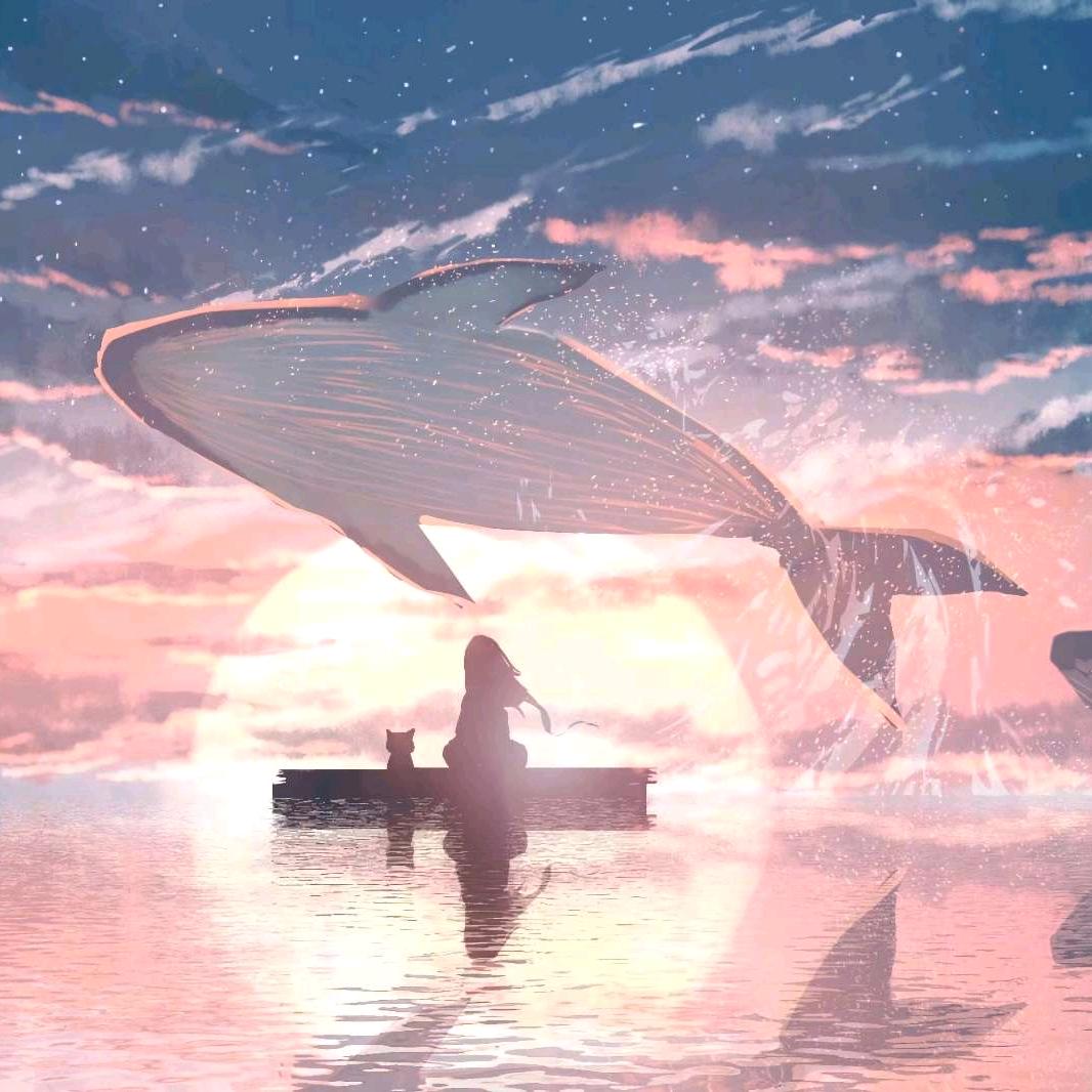 路人☯