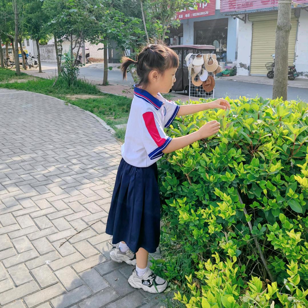 诗嘉同学