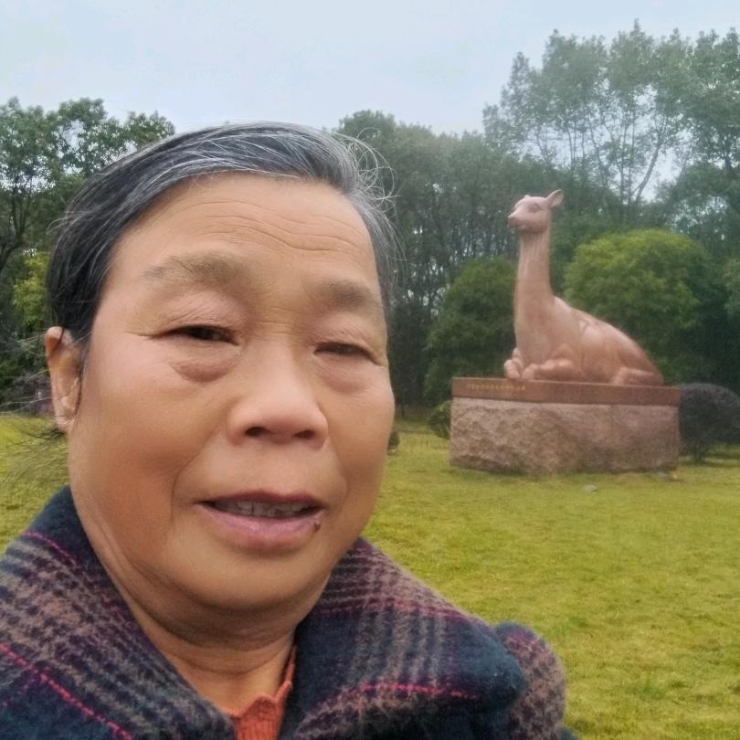 54年马年