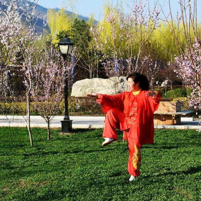 石竹花