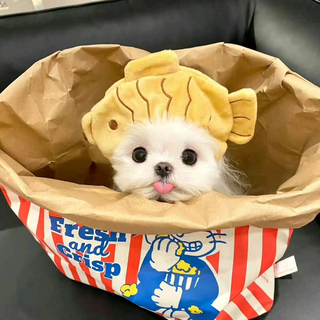 十二珏好物