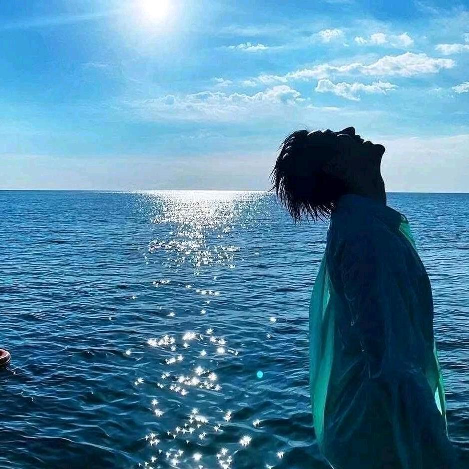 舒克吃飞机.
