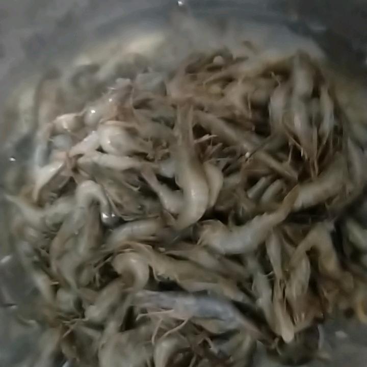 做好自己就行。