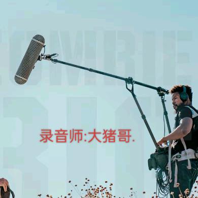 影视录音大猪哥