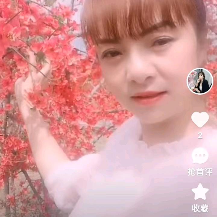 轻叹花开