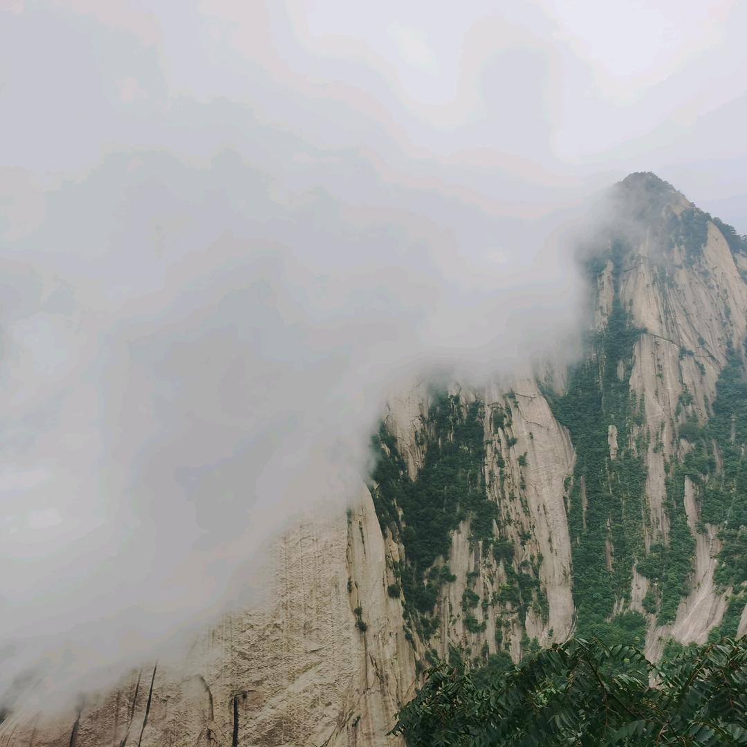 自渡